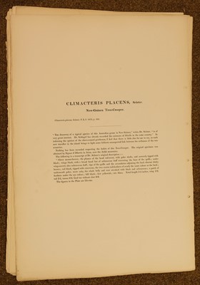 Lot 85 - Gould (J. & Hart W.), Six lithographs from The Birds of New Guinea, 1875 - 88