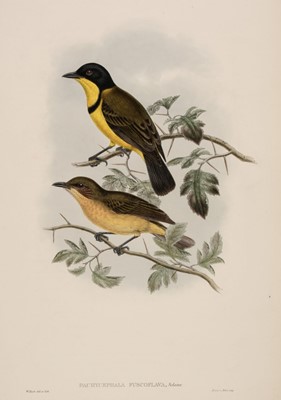 Lot 87 - Gould (J. & Hart W.). Six prints from The Birds of New Guinea, 1875 - 88