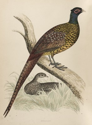 Lot 109 - Morris (Beverley R.) British Game Birds and Wildfowl, 1st edition, 1855