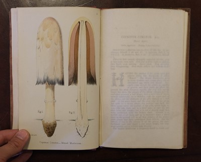 Lot 99 - Hogg (Robert & Johnson, George W., editors). A Selection of the Eatable Funguses ... , [1866]