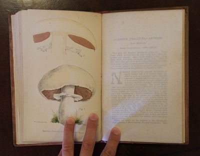Lot 99 - Hogg (Robert & Johnson, George W., editors). A Selection of the Eatable Funguses ... , [1866]