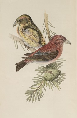 Lot 150 - Meyer (Henry Leonard). Coloured Illustrations of British Birds and their Eggs, 7 volumes, 1842-57