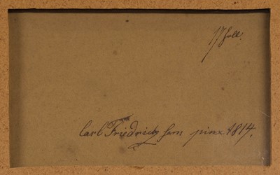 Lot 111 - Ornithology. Gull, by Carl Friedrich, 1814