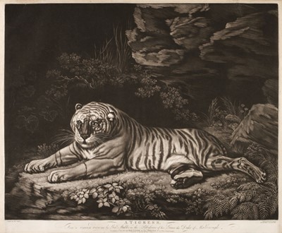 Lot 393 - Laurie, (Robert, circa 1755-1836). A Tigress, after George Stubbs, 1800