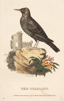 Lot 168 - Syme (Patrick). A Treatise on British Song-Birds, 1st edition, 1823, & 7 others