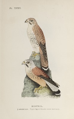 Lot 153 - Mosley (S. L.). An Account of the Birds of the Huddersfield District, 18 parts of 20, 1912-15