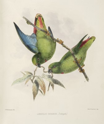 Lot 164 - Rowley (George Dawson). Ornithological Miscellany, 1st edition, 1875-8