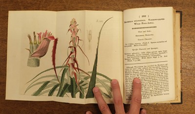Lot 138 - Grieve (Symington). The Greak Auk, 1st edition, 1885, & 7 others