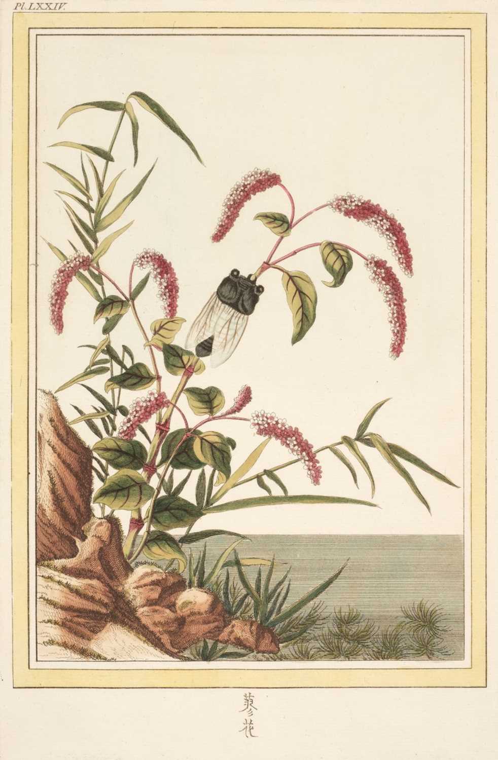 Lot 79 - Buc'hoz (Pierre Joseph, 1731-1807). Six hand-coloured engravings