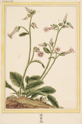 Lot 79 - Buc'hoz (Pierre Joseph, 1731-1807). Six hand-coloured engravings