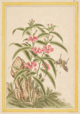 Lot 79 - Buc'hoz (Pierre Joseph, 1731-1807). Six hand-coloured engravings