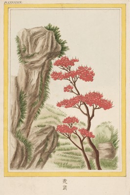Lot 79 - Buc'hoz (Pierre Joseph, 1731-1807). Six hand-coloured engravings