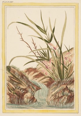 Lot 79 - Buc'hoz (Pierre Joseph, 1731-1807). Six hand-coloured engravings