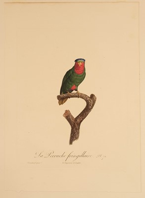 Lot 78 - Barraband (Jacques, 1767-1809). Seven hand-coloured engraved illustrations of parrots