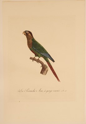 Lot 78 - Barraband (Jacques, 1767-1809). Seven hand-coloured engraved illustrations of parrots