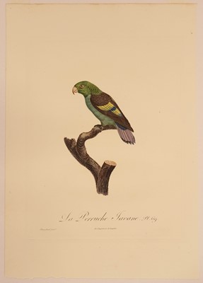 Lot 78 - Barraband (Jacques, 1767-1809). Seven hand-coloured engraved illustrations of parrots