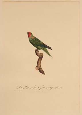 Lot 78 - Barraband (Jacques, 1767-1809). Seven hand-coloured engraved illustrations of parrots