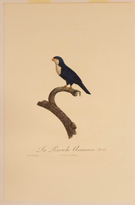 Lot 78 - Barraband (Jacques, 1767-1809). Seven hand-coloured engraved illustrations of parrots