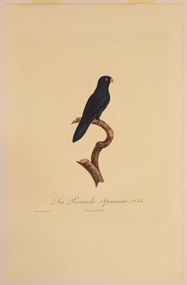 Lot 78 - Barraband (Jacques, 1767-1809). Seven hand-coloured engraved illustrations of parrots