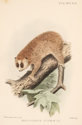 Lot 129 - Bonhote (J. Lewis). 'Papers on Mammals & Birds', 1895-1911, & other periodicals