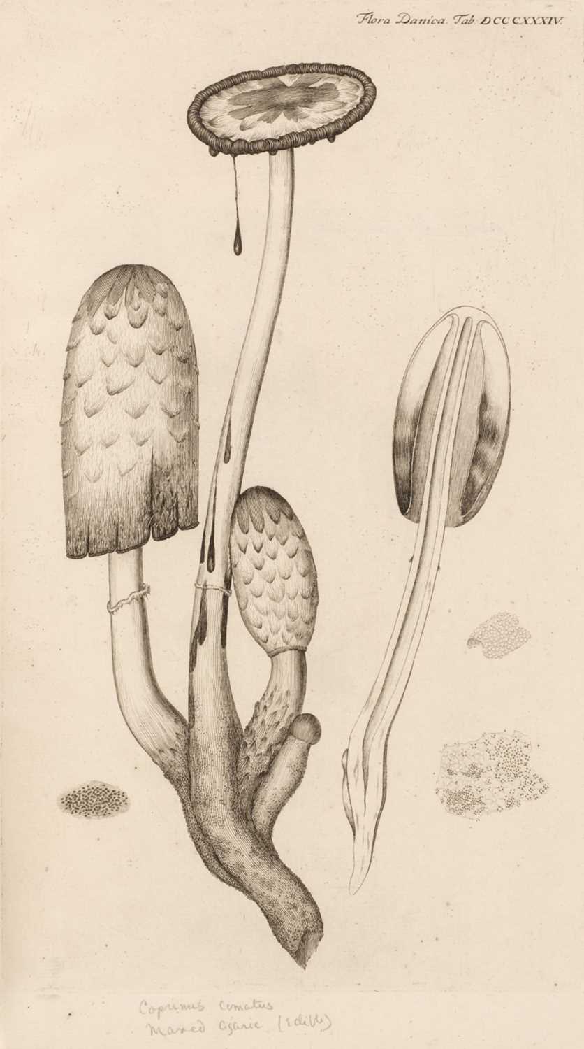 Lot 82 - Flora Danica, fascicules 1-4 and 6-16, 1761-87, with 900 plates