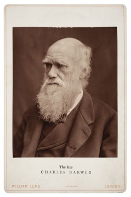 Lot 5 - Darwin (Charles, 1809-1882). Portrait [by Lock & Whitfield], 1877, printed 1880s, Woodburytype