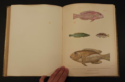 Lot 108 - Playfair (R. Lambert & Gunther, Albert C.L.G.). The Fishes of Zanzibar, 1st edition, 1866