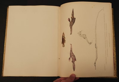 Lot 108 - Playfair (R. Lambert & Gunther, Albert C.L.G.). The Fishes of Zanzibar, 1st edition, 1866