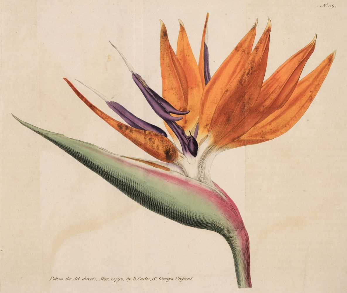 Lot 149 - Curtis (William). The Botanical Magazine; ... , vols. 1-24 bound in 12, Stephen Couchman, 1793-1806