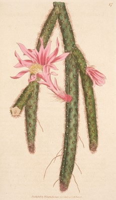 Lot 149 - Curtis (William). The Botanical Magazine; ... , vols. 1-24 bound in 12, Stephen Couchman, 1793-1806