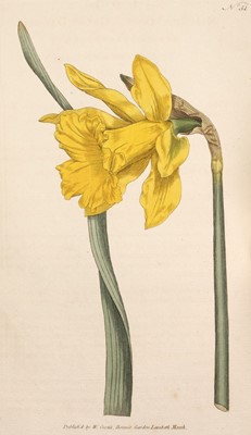 Lot 149 - Curtis (William). The Botanical Magazine; ... , vols. 1-24 bound in 12, Stephen Couchman, 1793-1806