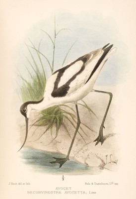 Lot 144 - Balston (R. J.). Notes on the Birds of Kent, 1st edition, 1907, plates by Smit, & approx. 40 others
