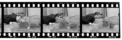 Lot 102 - Reed (Oliver, 1938-1999). A series of comic photographs of the actor Oliver Reed