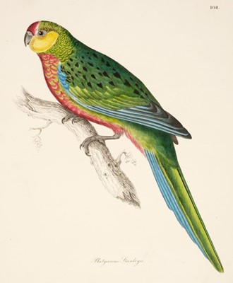 Lot 200 - Birds. Jardine (W. & Selby J. P.), A collection of 27 engravings, 1826 - 35