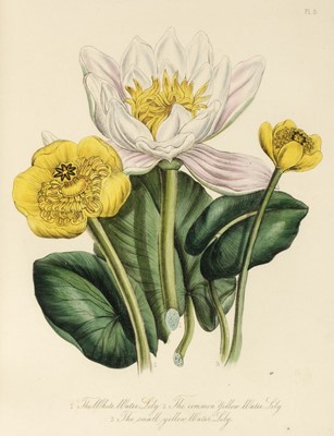 Lot 111 - Loudon (Jane). British Wild Flowers, 1st edition, 1846