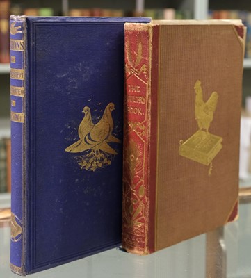 Lot 127 - Tegetmeier (William B.). Pigeons: their Structure, Varieties, Habits, and Management, 1868