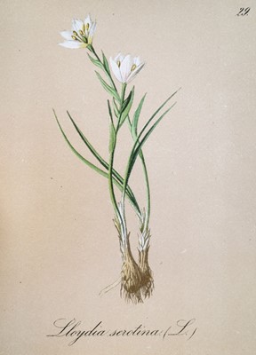 Lot 144 - Prints & engravings. A mixed collection of approximately 500 prints, mostly 19th century