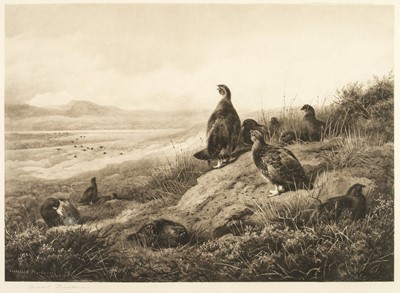 Lot 233 - Thorburn (Archibald). Amongst the Heather, A. Baird Carter, 1911