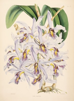Lot 128 - Warner (Robert). Select Orchidaceous Plants. First Series, 1862-5, in original parts
