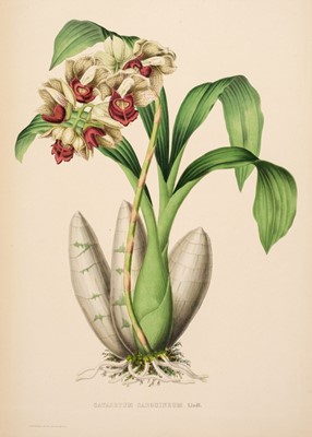 Lot 109 - Linden (Jean-Jules). Pescatorea. Iconographie des orchides, 1st edition, 1854-5