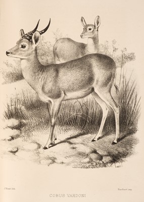 Lot 20 - Selous (F. C.). A Hunter's Wanderings in Africa, 1st edition, 1881, & 4 others, travel