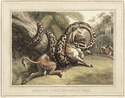 Lot 85 - Williamson (Thomas). Foreign Field Sports, Fisheries, Sporting Anecdotes, &c., 1st edition, 1814
