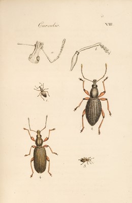 Lot 47 - Clairville (Joseph Philippe de). Entomologie Helvétique, 1st edition, 1798