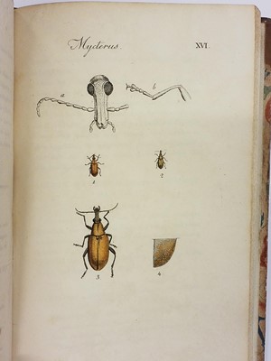Lot 47 - Clairville (Joseph Philippe de). Entomologie Helvétique, 1st edition, 1798