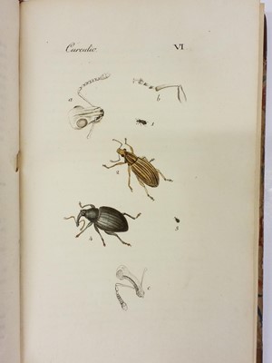 Lot 47 - Clairville (Joseph Philippe de). Entomologie Helvétique, 1st edition, 1798