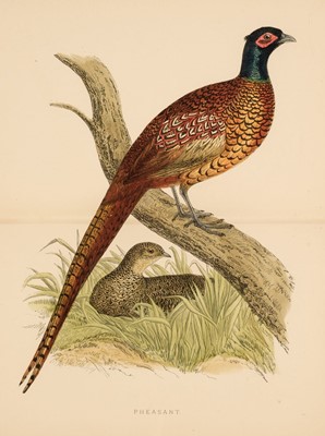 Lot 66 - Morris (Beverley R.) British Game Birds and Wildfowl, 2 volumes, 4th edition, 1895