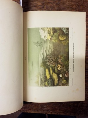 Lot 26 - Ransonnet-Villez (Eugen von). Reise von Kairo nach Tor..., 1863