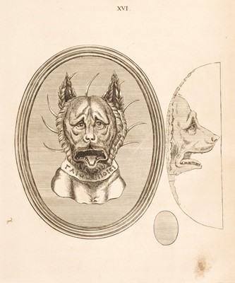 Lot 236 - Natter (Johann Lorenz). Traite de la Methode Antique, 1754