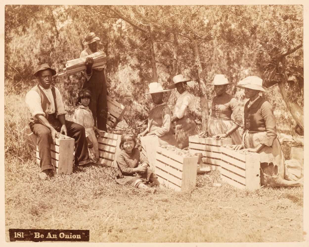 Lot 63 - Bermuda. An album of 24 mounted, circa 1890