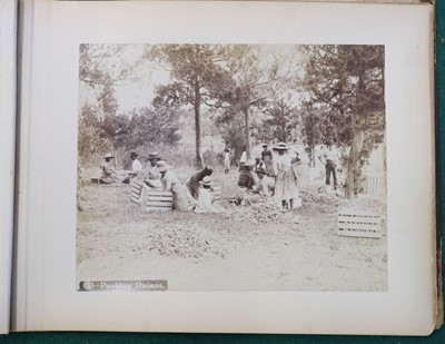 Lot 63 - Bermuda. An album of 24 mounted, circa 1890